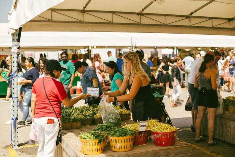Actores del ecosistema alimentario conectando en terreno